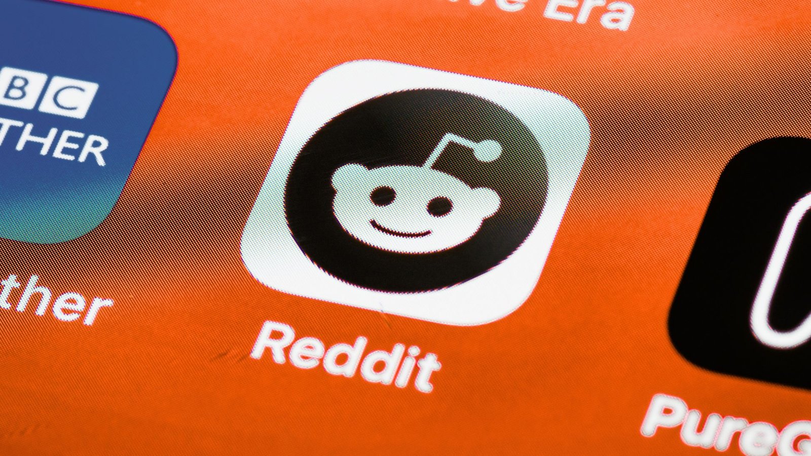 build authority on Reddit insurance